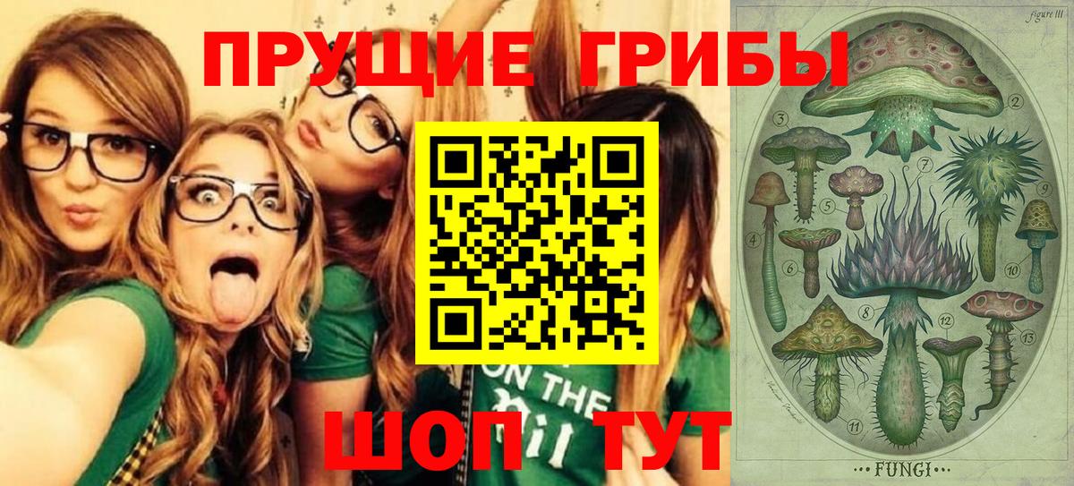 Галлюциногенные грибы GOLDEN TEACHER  Вход с VPN  Каспийск 