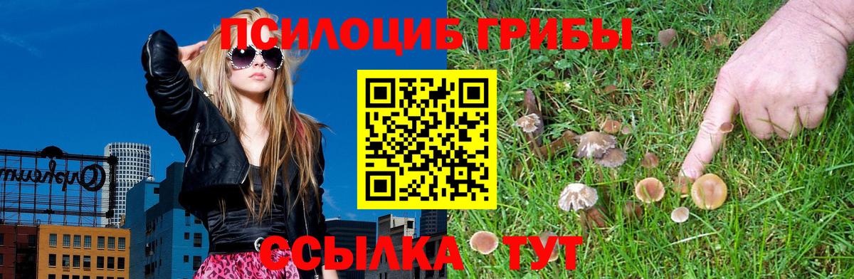 Псилоцибиновые грибы GOLDEN TEACHER Каспийск